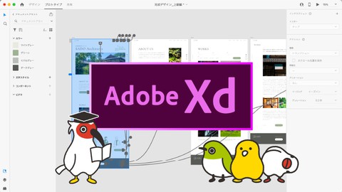 Adobe XDで未経験からWebデザイナーを目指す！デザイン入門から実践編まで
